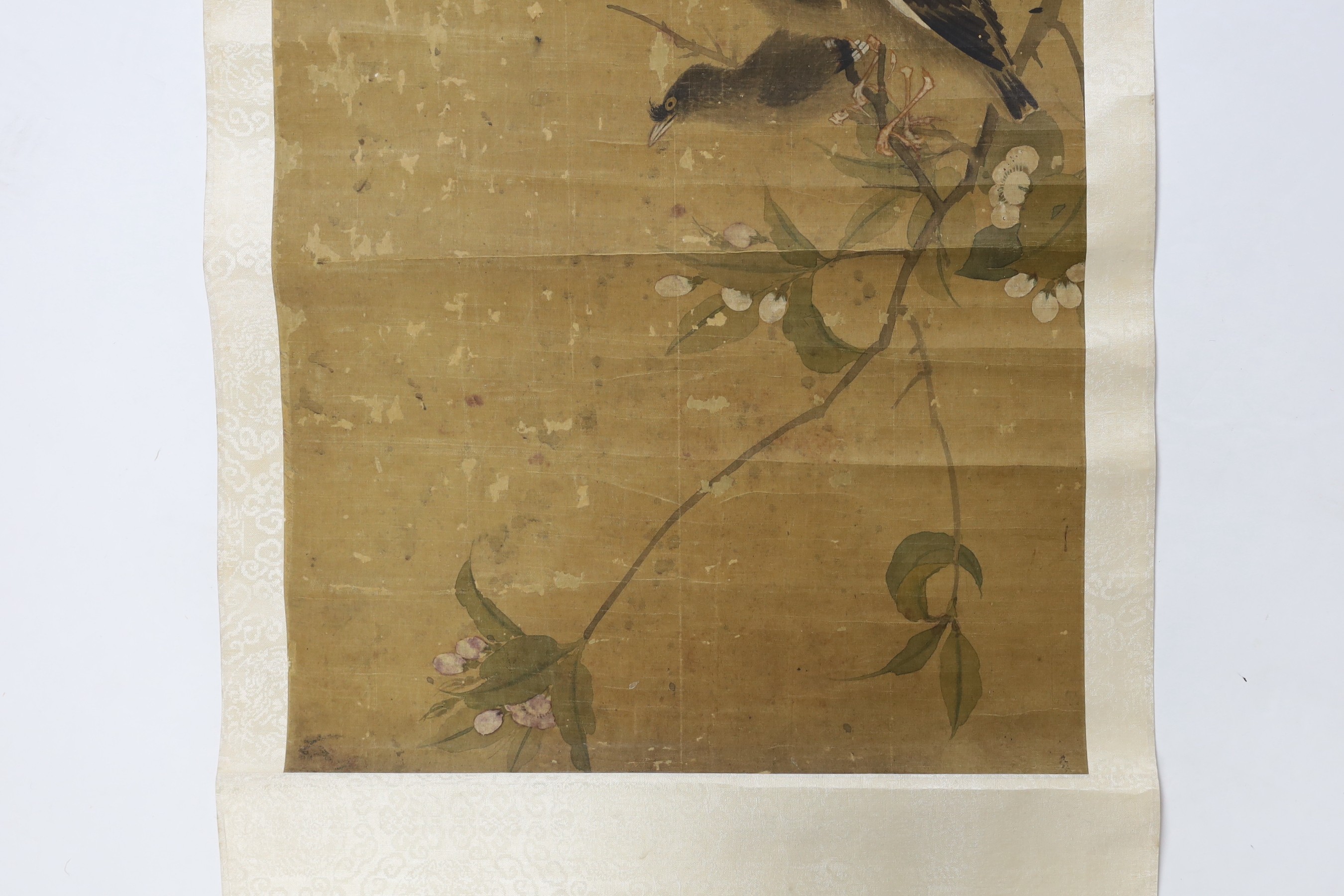 A Chinese scroll painting on silk of blackbirds perched on a blossoming branch, 19th century, image 79cm x 35cm